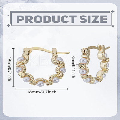 1 Pair Zinc Alloy Hoop Earrings EJEW-LP0003-66P-1