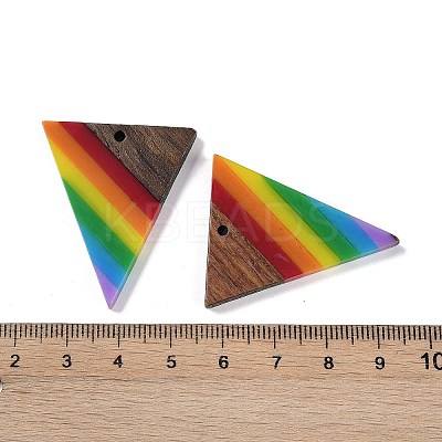 Rainbow Color Opaque Resin & Wood Pendants WOOD-K012-13-1