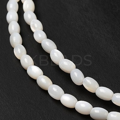 Natural Freshwater Shell Beads Strand BSHE-E026-16B-1