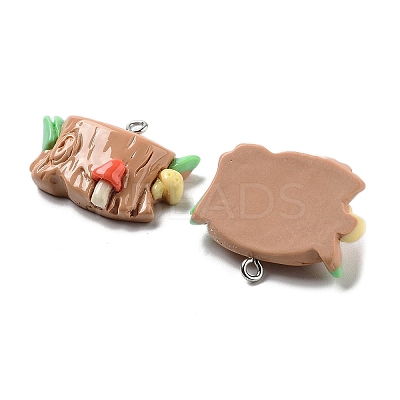 Spring Theme Opaque Resin Pendants RESI-R444-04B-1