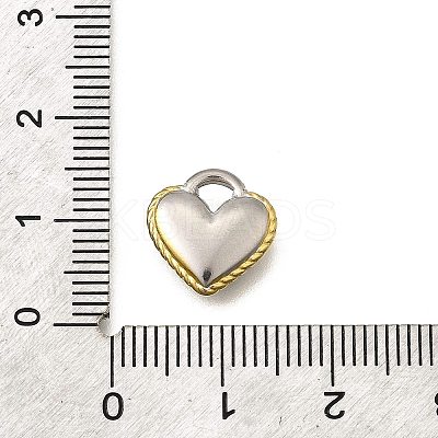 304 Stainless Steel Charms STAS-K252-07PG-1