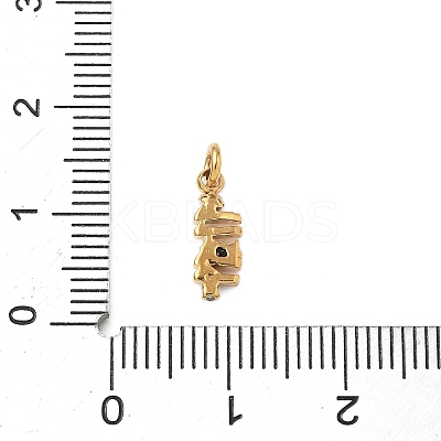 304 Stainless Steel Micro Pave Cubic Zirconia Charms STAS-D364-01G-1