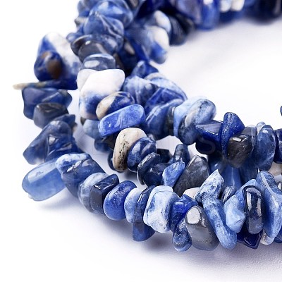 Natural Sodalite Chips Beads Strands X-F024-1