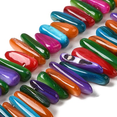 Natural Freshwater Shell Beads Strands SHEL-K006-40-1