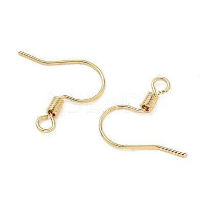 SHEGRACE Brass Earring Hooks XGR0140G-153G-1