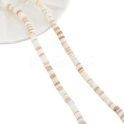 2 Strands Natural Freshwater Shell Beads Strands BSHE-NB0001-17-1