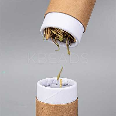 Kraft Paper Packaging Boxes CBOX-BC0001-26B-A-1