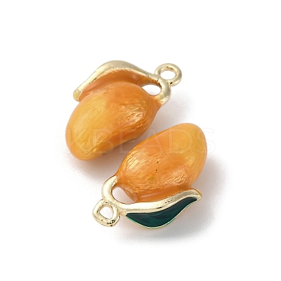 Brass Enamel Charms KK-F903-01B-G-1
