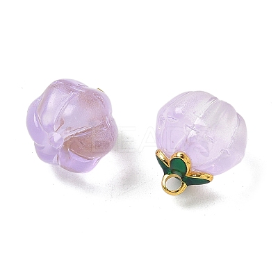 Glass Charms GLAA-P072-04G-05-1