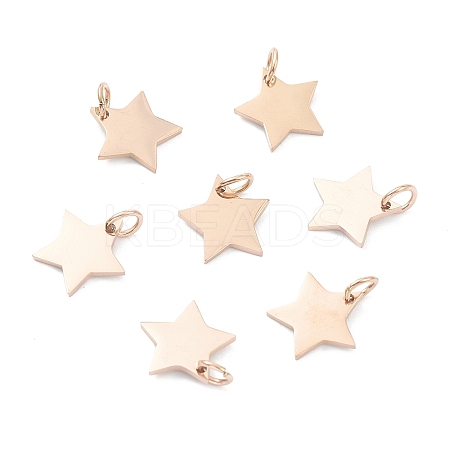 (Defective Closeout Sale: Scratches)304 Stainless Steel Charms LS-STAS-XCP0001-35-1