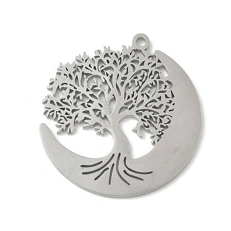 304 Stainless Steel Pendants X-STAS-V016-10P-1