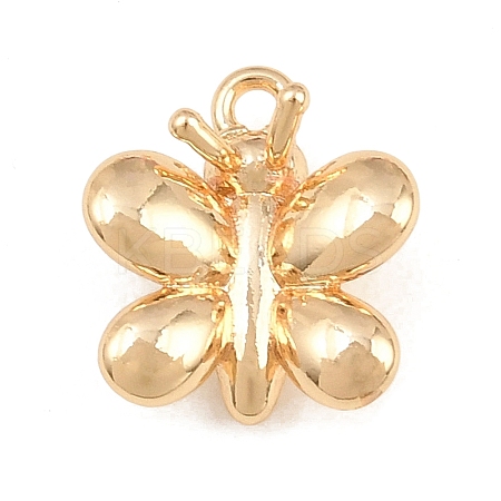 304 Stainless Steel Charms SA-CBA4377-02F-G-1