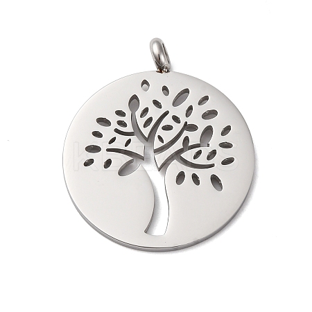 304 Stainless Steel Pendants STAS-P393-03P-1