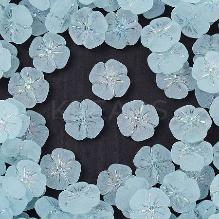 Frosted Transparent Acrylic Beads OACR-P029-19B-06-1