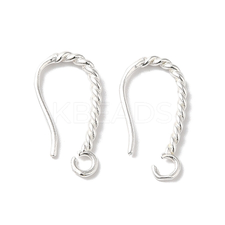 Long-Lasting Plated Brass Ear Wire KK-K381-07S-1