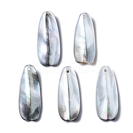 Natural Black Lip Shell Pendants SHEL-N026-160C-1