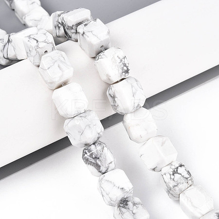 Natural Howlite Beads Strands G-N353-03A-07-1