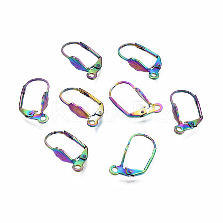 304 Stainless Steel Leverback Earring Findings STAS-N098-005-1