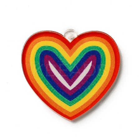 Rainbow Color Printed Acrylic Pendants OACR-B006-01F-1