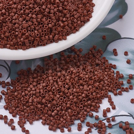 MIYUKI Delica Beads LS-X-SEED-J020-DB0794-1