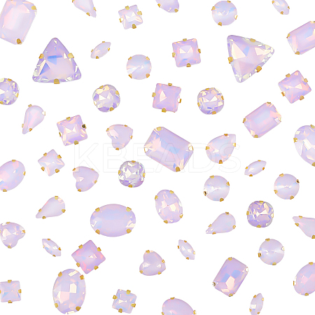 Glass Steel Claw Sew on Rhinestone FIND-WH20040-07G-05-1