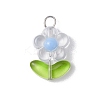 Transparent Acrylic Pendants PALLOY-JF03713-01-3