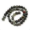 Natural Afican Bloodstone Beads Strands G-C079-B02-01-3