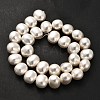Shell Pearl Beads Strands BSHE-F013-01A-3