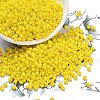 8/0 Glass Seed Beads X1-SEED-A010-3mm-42-1