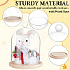 Glass Dome Cover DIY-WH0504-317B-4