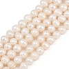 Natural Cultured Freshwater Pearl Beads Strands PEAR-I007-07J-08A-2