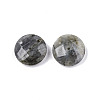Natural Labradorite Connector Charms G-N326-149A-1