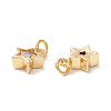 Brass Cubic Zirconia Charms FIND-Z005-02B-2