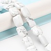 Natural Howlite Beads Strands G-K357-D05-01-2