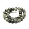 Natural Labradorite Bead Strands G-P256-01-12mm-2