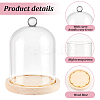 Glass Dome Cover AJEW-WH0348-293D-4