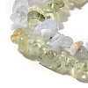 Natural Prehnite & Blue Lace Agate Beads Strands G-L610-A20-01-4