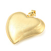 Rack Plating Brass Pendants KK-C044-08G-2
