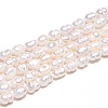Natural Cultured Freshwater Pearl Beads Strands LS-PEAR-N012-02N-01-5