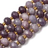 Natural Lepidolite Beads Strands G-D105-B08-5