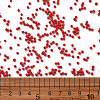 Baking Paint Glass Seed Beads SEED-US0003-2mm-K20-3