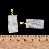 Natural & Synthetic Gemstone Faceted Pendants G-L623-03G-4