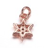 Brass Micro Pave Cubic Zirconia Pendants ZIRC-K070-41RG-2