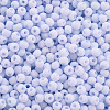 8/0 Opaque Glass Seed Beads X1-SEED-S048-N-001-3