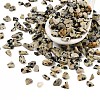 Pandahall Natural Dalmatian Jasper Chip Beads G-M055-04-1