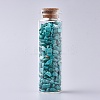 Glass Wishing Bottle DJEW-L013-A18-1