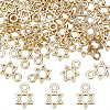 60Pcs Alloy Charms FIND-SC0009-21-1