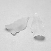Transparent Acrylic Pendants X-FACR-S021-SB518-2