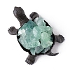 Natural Green Fluorite Display Decorations WG80960-05-1