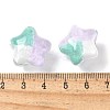 Transparent Acrylic Beads OACR-D304-03H-3